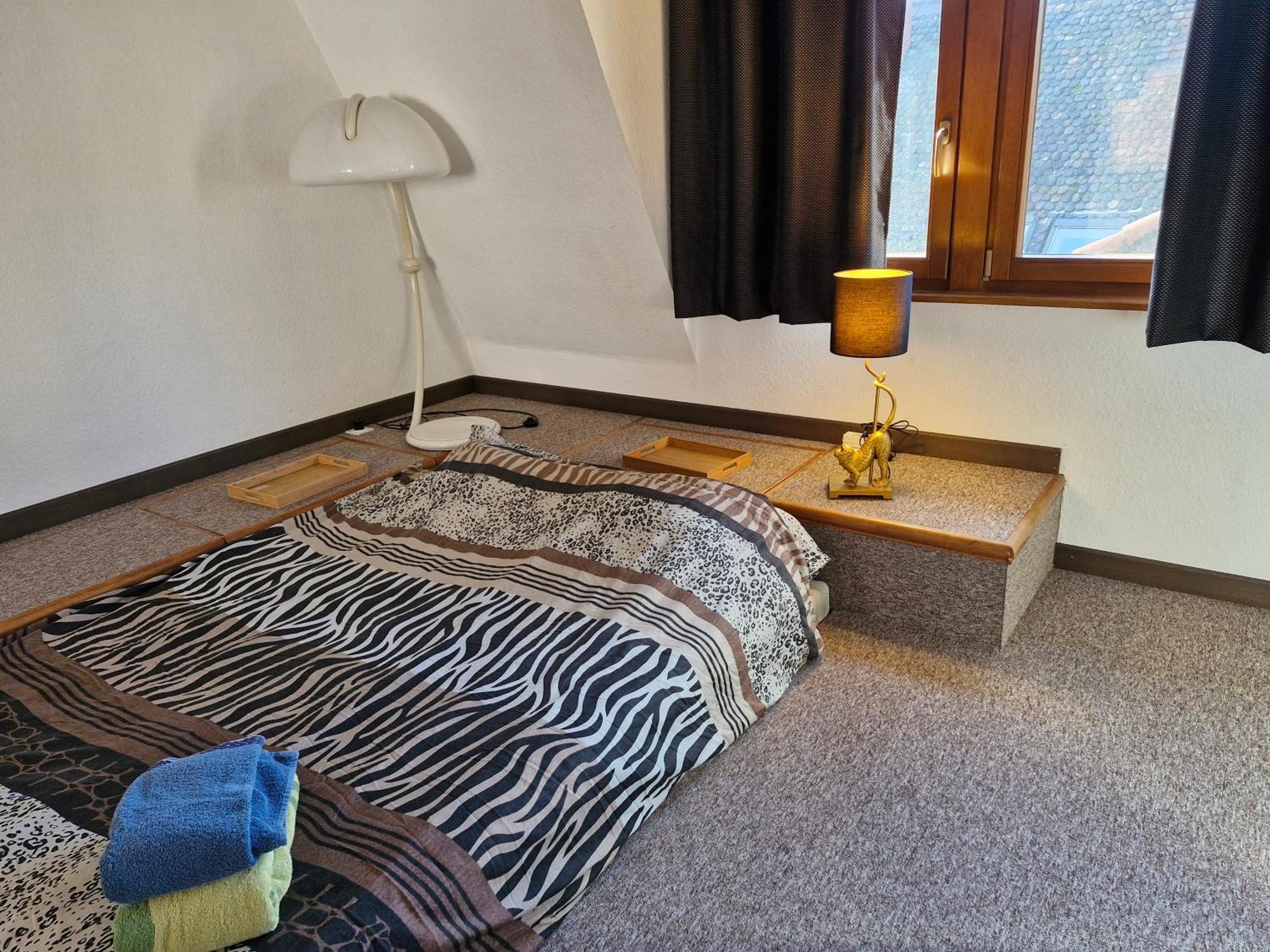 Face A La Cathedrale Apartment Страсбург Екстериор снимка